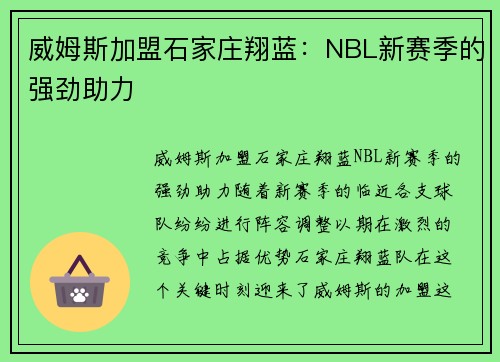 威姆斯加盟石家庄翔蓝：NBL新赛季的强劲助力