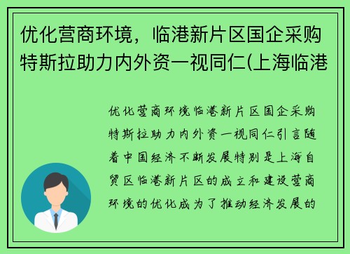 优化营商环境，临港新片区国企采购特斯拉助力内外资一视同仁(上海临港特斯拉配套公司)