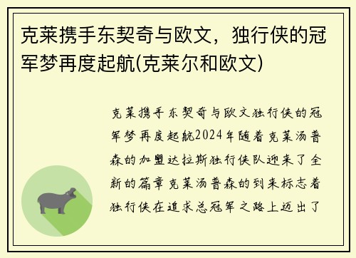 克莱携手东契奇与欧文，独行侠的冠军梦再度起航(克莱尔和欧文)