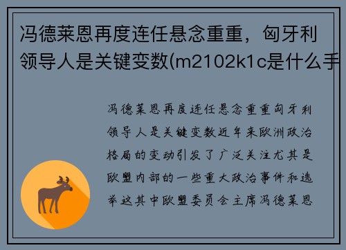 冯德莱恩再度连任悬念重重，匈牙利领导人是关键变数(m2102k1c是什么手机)