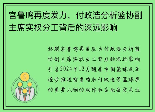 宫鲁鸣再度发力，付政浩分析篮协副主席实权分工背后的深远影响