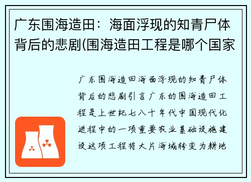 广东围海造田：海面浮现的知青尸体背后的悲剧(围海造田工程是哪个国家)