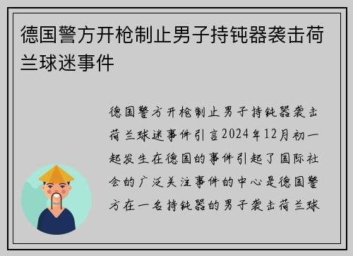 德国警方开枪制止男子持钝器袭击荷兰球迷事件